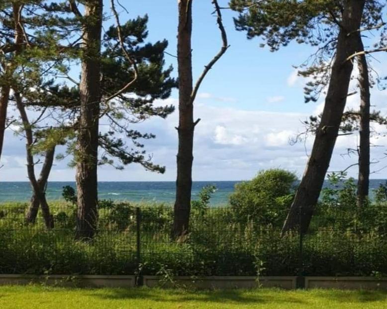 Let'S Sea - 2 Bedroom - Premium Baltic Apartment With Front Sea View Garden And Spa Access Гонски Экстерьер фото